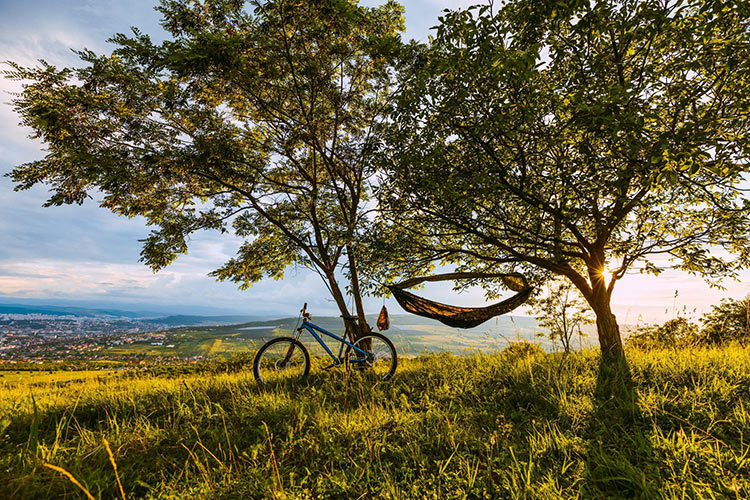 DD Hammocks Nest Hammock - Multicam