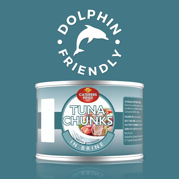 400g Caterers Pride Tuna Chunks in Brine - Bulk Food Ration Storage