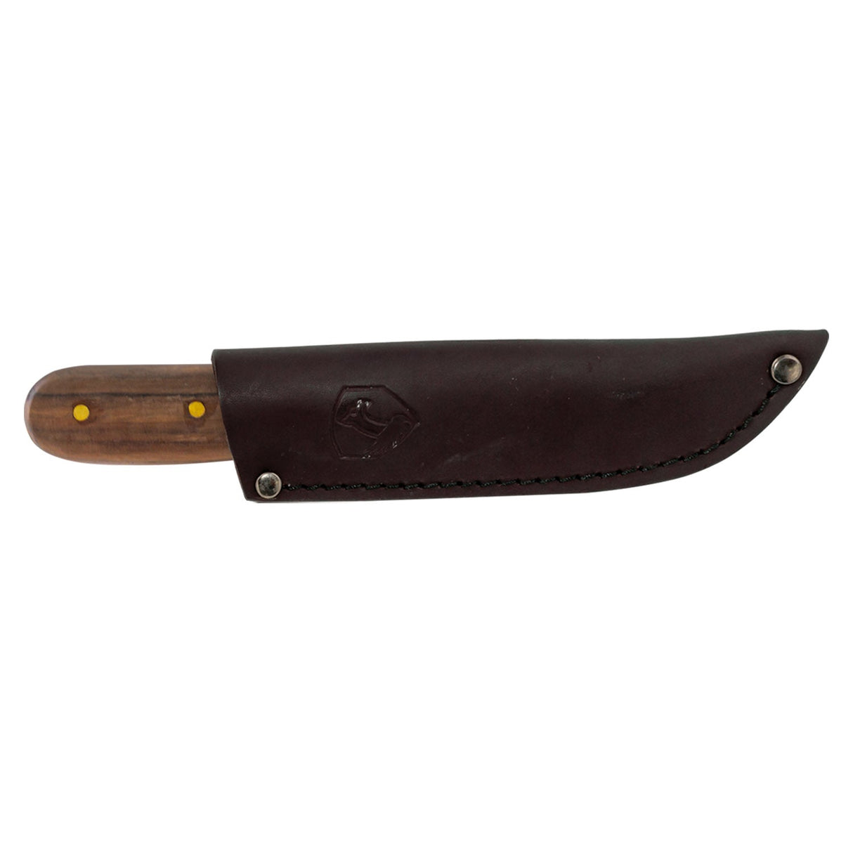 Condor Bushcraft Basic Fixed Blade Knife