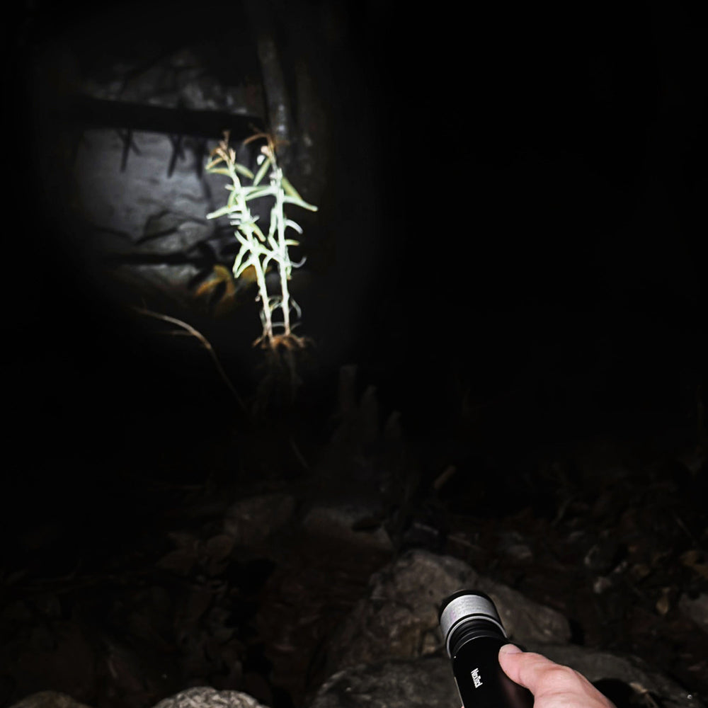 Nextool 12 in 1 Thunder Music Flashlight
