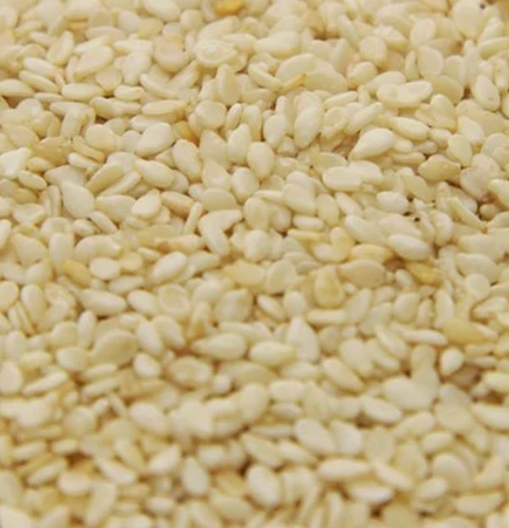 530g Sesame Seeds- Bulk Food Ration Storage